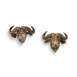 Wim Botha; Buffalo Heads; two