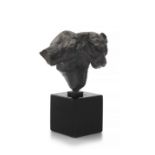 Dylan Lewis; S099 Leopard Bust Leaping maquette V