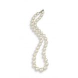 Cultured pearl necklace