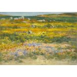 Hugo NaudÃ©; Namaqualand in Spring