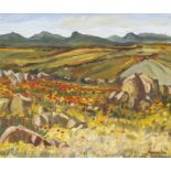 Hugo NaudÃ©; Namaqualand