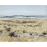 Walter Westbrook; Arid Landscape