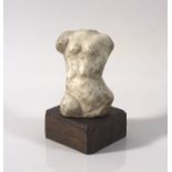 Lippy (Israel-Isaac) Lipshitz; Torso