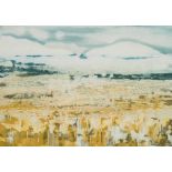 Gordon Vorster; Abstract Landscape