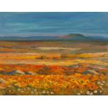 James Thackwray; Springtime Namaqualand