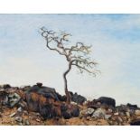 Walter Meyer; Rocky Landscape with Tree