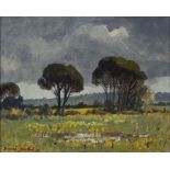 David Botha; Landscape with Trees