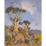 Conrad Theys; Quiver Trees, Springbok