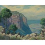 Willem Hermanus Coetzer; Extensive Drakensberg Landscape