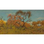 Erich Mayer; Bushveld Scene