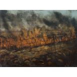 Kim Berman; Through the Wire: Lowveld Fire I