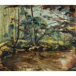 Louis van Heerden; Forest Stream