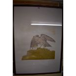 Elisabeth Frink, 'Goshawk', signed and numbered, 10/50, aquatint, pl.53.5 x 46.58cm