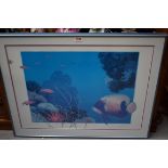Jo Ann Hook, three pencil signed limited edition colour prints of tropical fish, largest 47 x