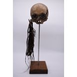 A Papua New Guinea 'Asmat' head hunter's trophy skull, decorated with Cowrie Shell eyes and