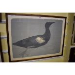 Elisabeth Frink, 'Guillemot', signed and numbered 47/50 lithograph, 58 x 78.5cm