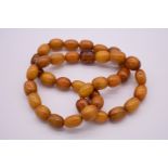 A string of large butterscotch amber style beads, 85cm.