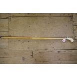 An old malacca cane, with simulated ivory claw and egg handle.