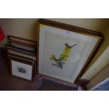 A collection of ornithological prints, largest 52 x 34.5cm. (16)