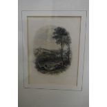 A collection of 19th century engravings. (10)