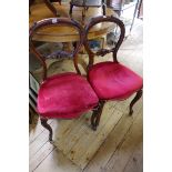 A pair of Victorian carved walnut balloon back dining chairs, one labelled 'From T H Filmer &