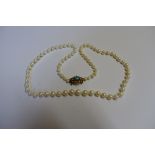 A cultured pearl graduated single strand necklace, having 9ct gold claps set turquoise, 53cm