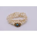 A graduated cultured pearl single strand necklace, having 9ct gold clap set turquoise, 53cm.