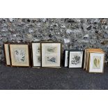 Seventeen various botanical prints. This lot can only be collected on Saturday 5th September (10-
