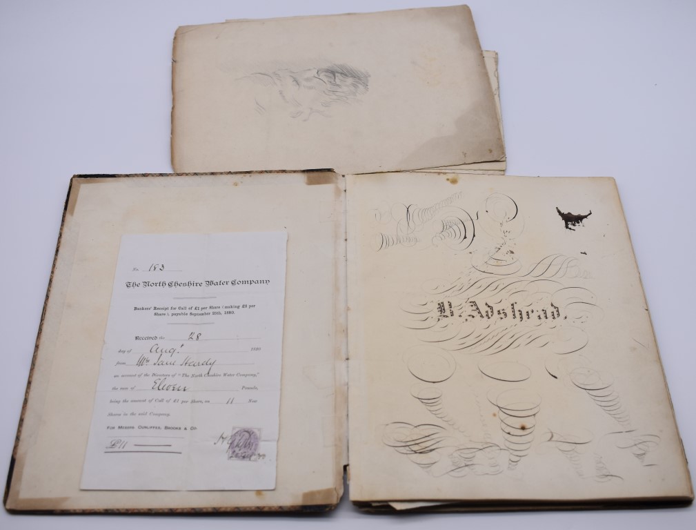 VICTORIAN ENTOMOLOGIST'S NOTEBOOK: mid-19thc commonplace book with calligraphic ownership of one B - Image 3 of 21