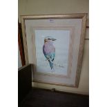 Jill Adams, 'Swallow-Tailed Bee-Eater'; 'Little Bee-Eater'; and two others, four works, each signed,