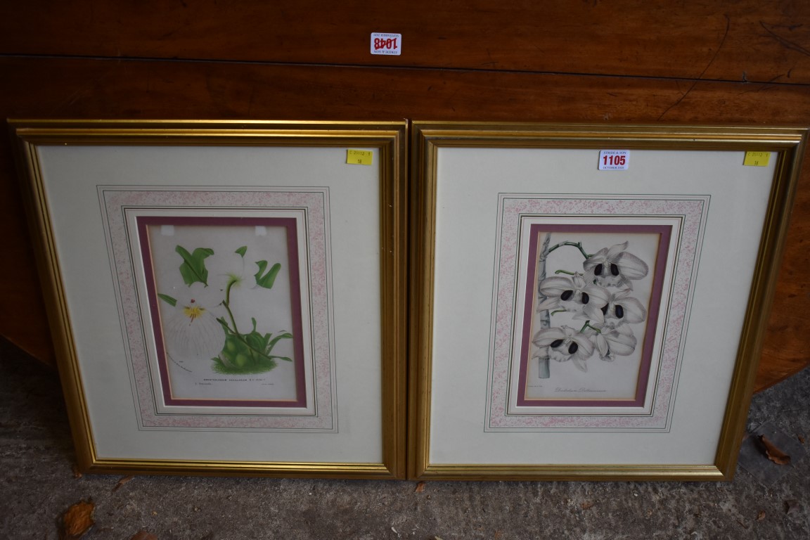 Two botanical prints.This lot can only be collected on Saturday 10th October (10-2pm)