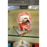 An anatomical head, lifesize, some parts probably lacking.