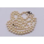A single strand of pearls, the white gold clasp set double pearl and sapphire, stamped with import