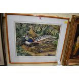 David Binns, 'Lady Amherst Pheasants', signed and dated '66, labelled verso, watercolour, 32 x 39.