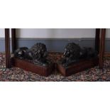 (THH) A  large and impressive pair of bronze recumbent lions, each on a Breccia marble base, 35.