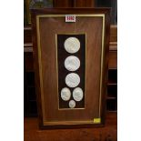 A framed display of six Grand Tour type plaster intaglios, largest 5.5cm diameter.