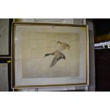 Leon Danchin, mallards in flight, signed in pencil, colour etching, pl.39.5 x 50cm.