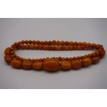A string of graduated butterscotch amber beads, 77.5cm long, 48.4g.