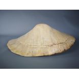 Natural History: A very rare blonde turtle shell, 19th century, with deformation, 60cm high