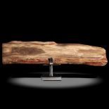 Interior Design/Fossils: A fossil wood specimen, Indonesia, Triassic, on metal stand, 56cm wide