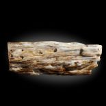 Interior Design/Fossils: An opalised specimen of fossil wood, Indonesia, Triassic, 36cm high