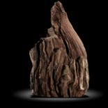 Interior Design/Fossils: A rare petrified wood specimen, Leipzig, Oligocene, 43cm high