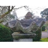 Garden Design: A similar giant clam shell (Tridacna), late 19th century, 94cm wide