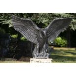 Garden statues/sculpture: ▲ Ev Meynell, Eagle, Patinated fibreglass, 120cm high by 184cm