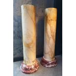 Pedestal/Interior Design: A pair of Sienna and Rosso Cipollino marble column pedestals, 19th