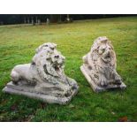 Garden Statuary:A pair of composition stone lions 2nd half 20th century 54cm high by 73cm long