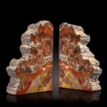 Interior Design/Ornament: A pair of fossil wood bookends (Araucaria/Monkey Puzzle Tree), Arizona,