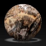 Interior Design/Ornament: A fossil wood sphere, Madagascar, Triassic, 225mya, 23cm diameter, 18.7kg