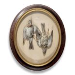 Taxidermy: A set of four Ledot of Paris wall cases, French, late 19th century, comprising a brace of