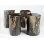 Interior Design/Ornament: Four fossil wood stools, 40cm high